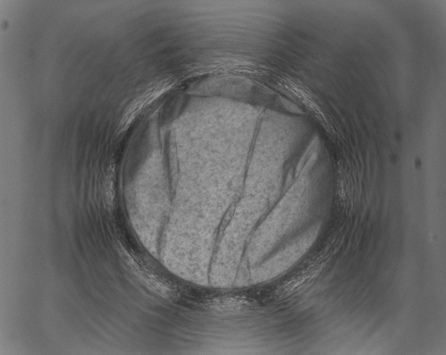 X0000062130586200601060859