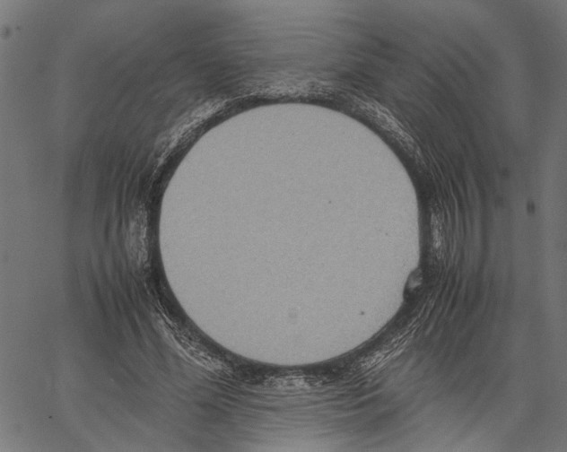 X0000062130588200601060859