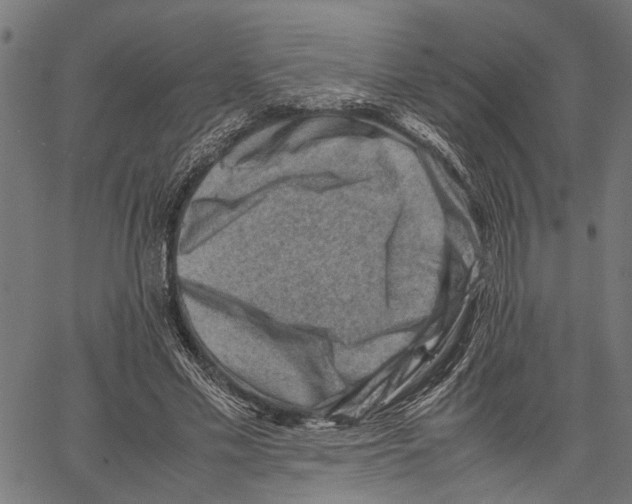 X0000062130589200601060859