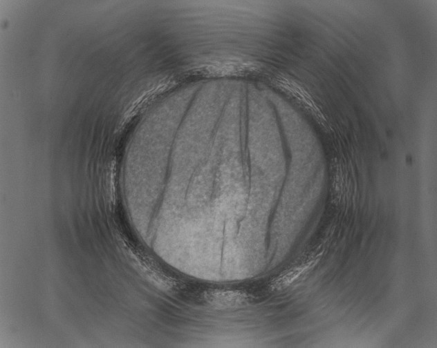 X0000062130590200601060859