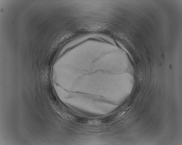 X0000062130591200601060859