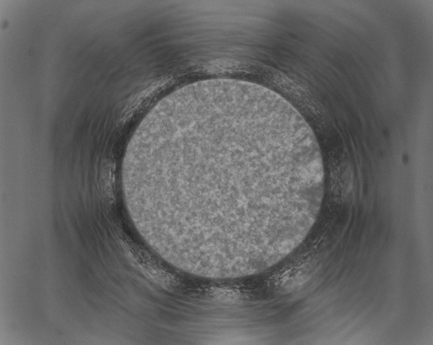 X0000062130592200601060859