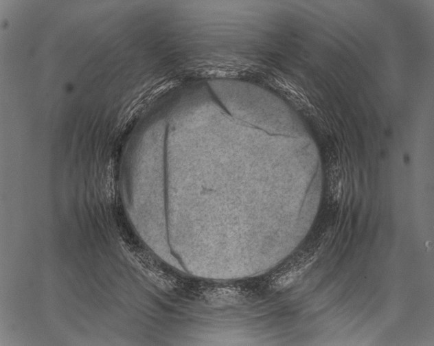 X0000062130594200601060859