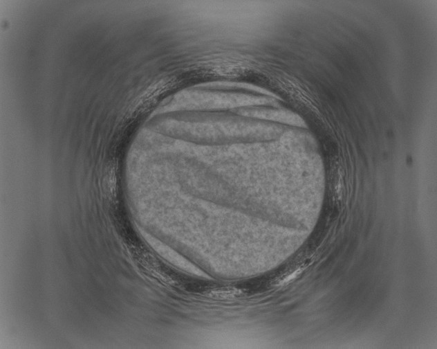 X0000062130595200601060859