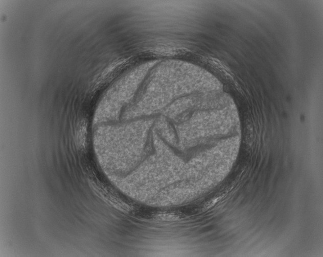 X0000062130596200601060859