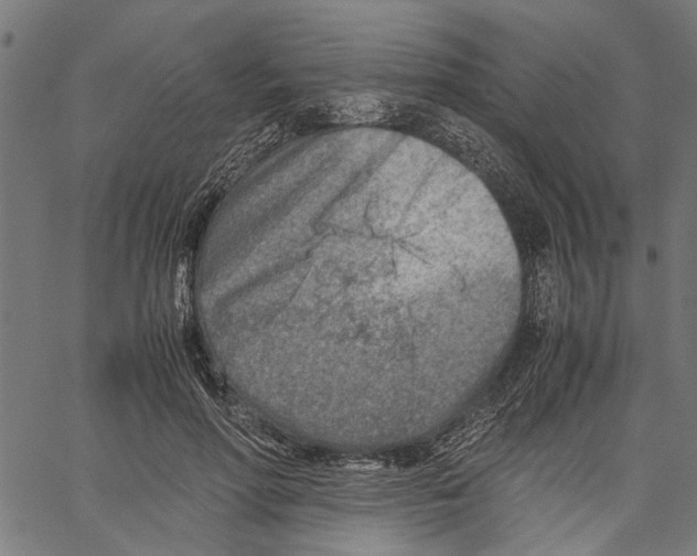 X0000062130598200601060859