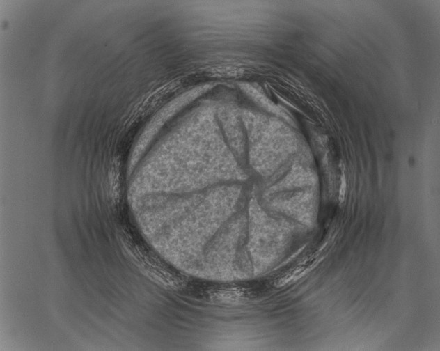 X0000062130600200601060859