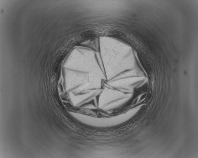 X0000062130601200601060859