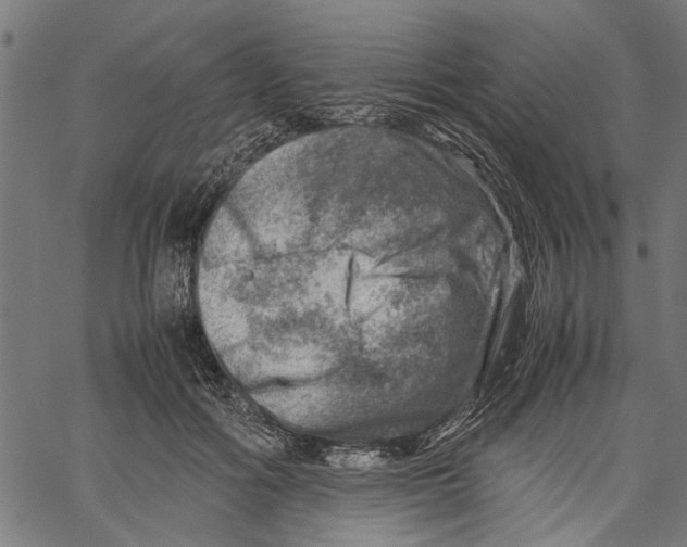 X0000062130602200601060859