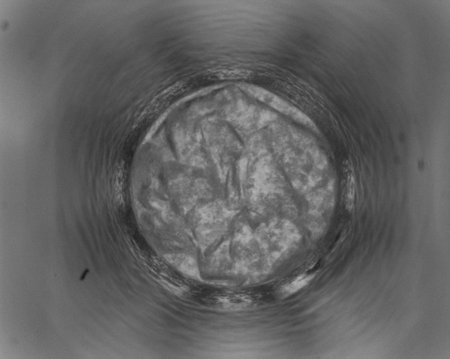 X0000062130604200601060859