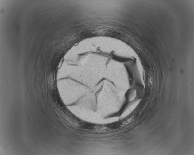 X0000062130605200601060859