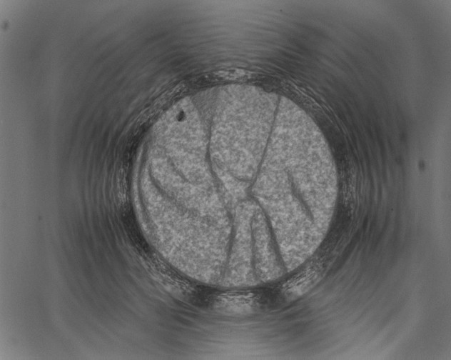 X0000062130606200601060859