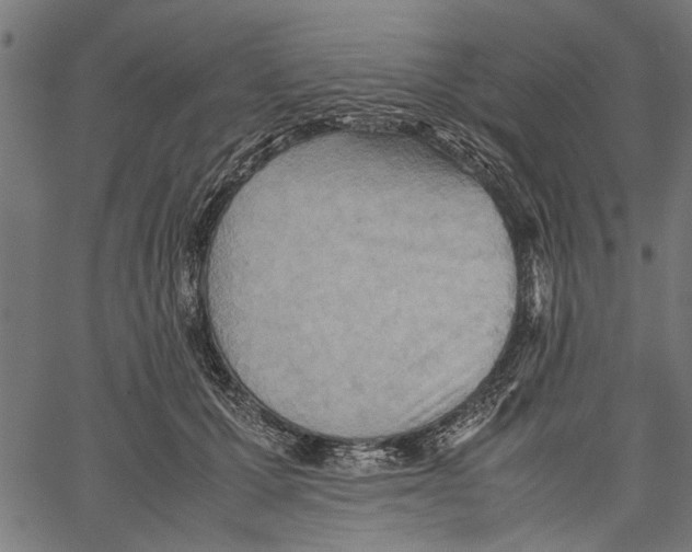 X0000062130607200601060859