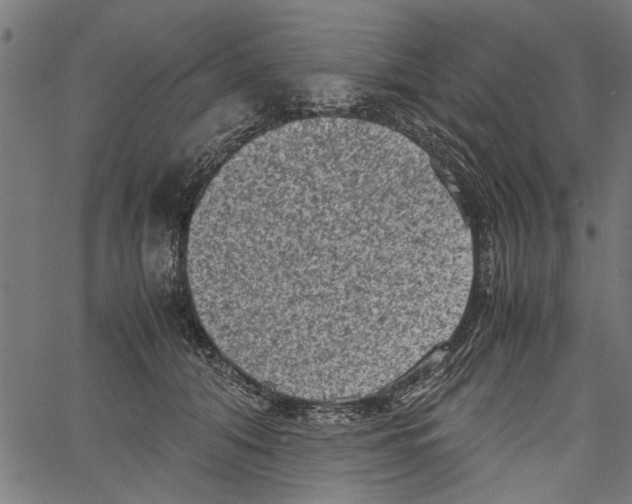 X0000062130608200601060859