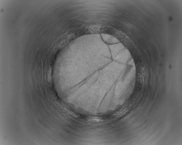 X0000062130610200601060859