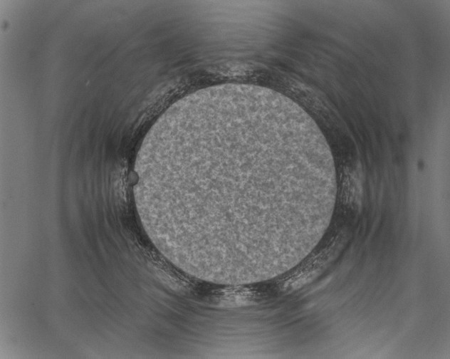 X0000062130612200601060859