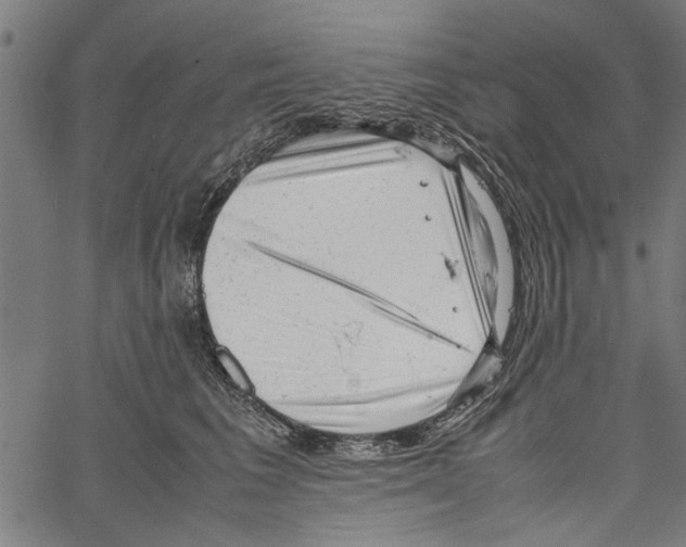 X0000062130613200601060859