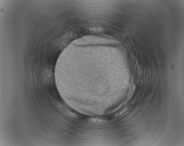 X0000062130614200601060859