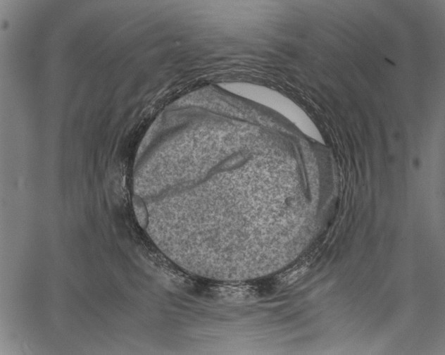 X0000062130615200601060859