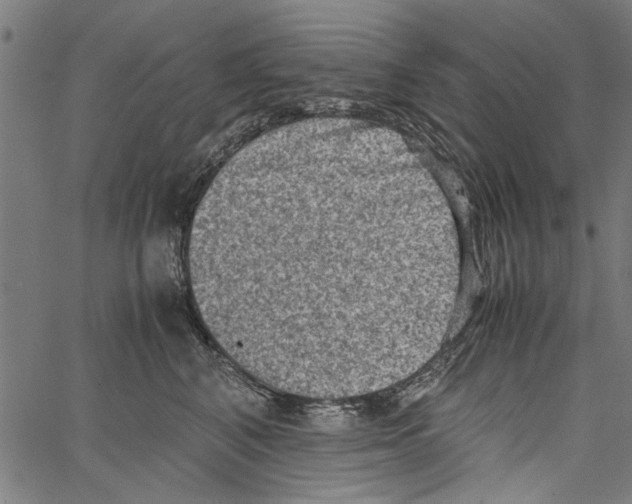 X0000062130616200601060859