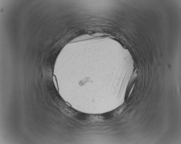 X0000062130617200601060859