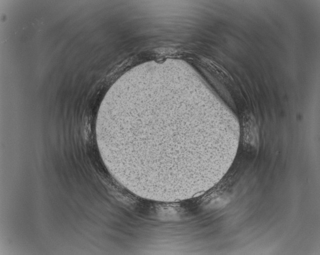 X0000062130618200601060859