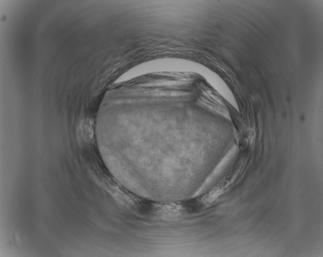 X0000062130621200601060859