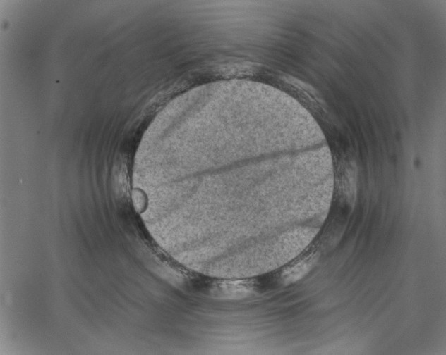 X0000062130622200601060859