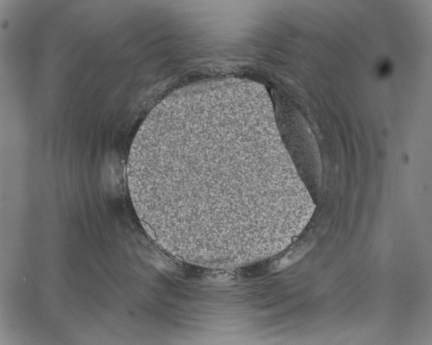 X0000062130624200601060859