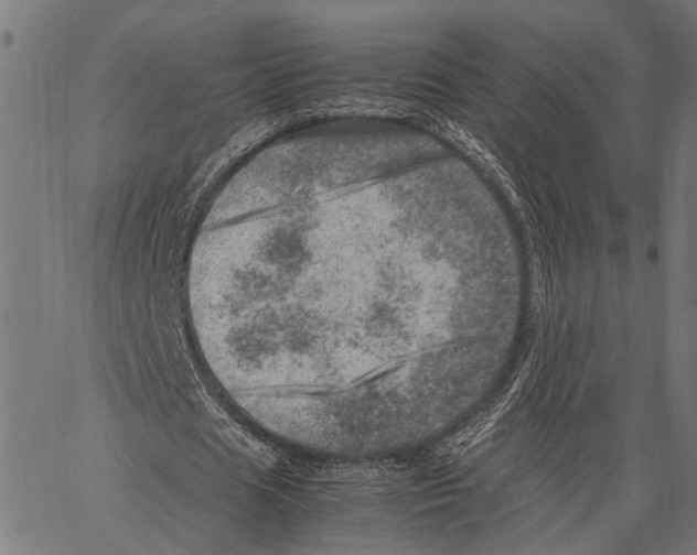 X0000062130625200601060858