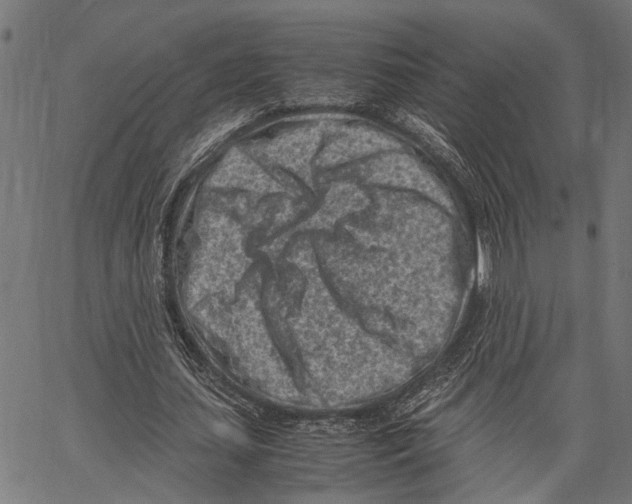 X0000062130627200601060858