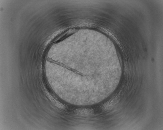 X0000062130629200601060858