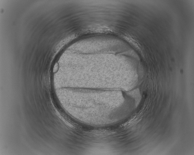 X0000062130630200601060858