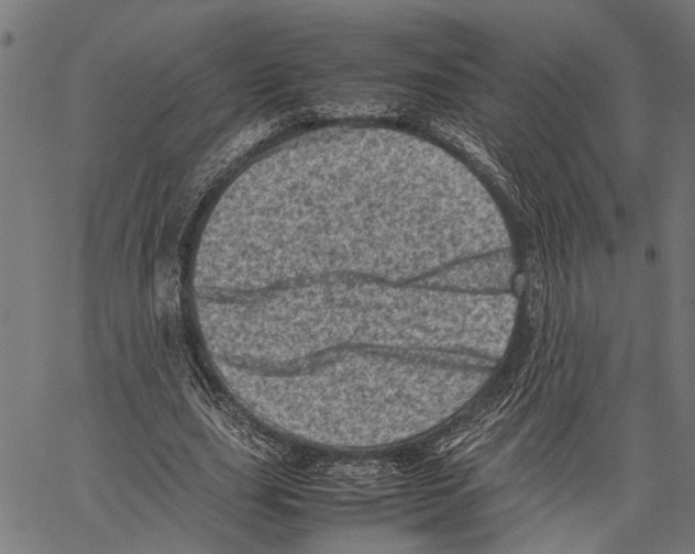 X0000062130631200601060858