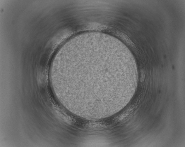 X0000062130632200601060858