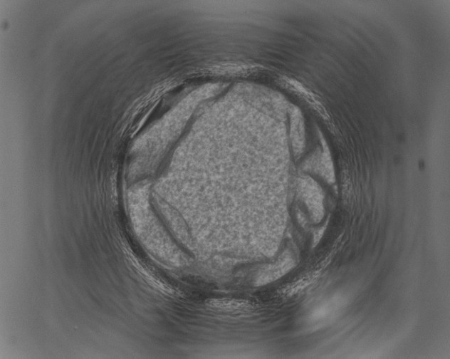 X0000062130633200601060858