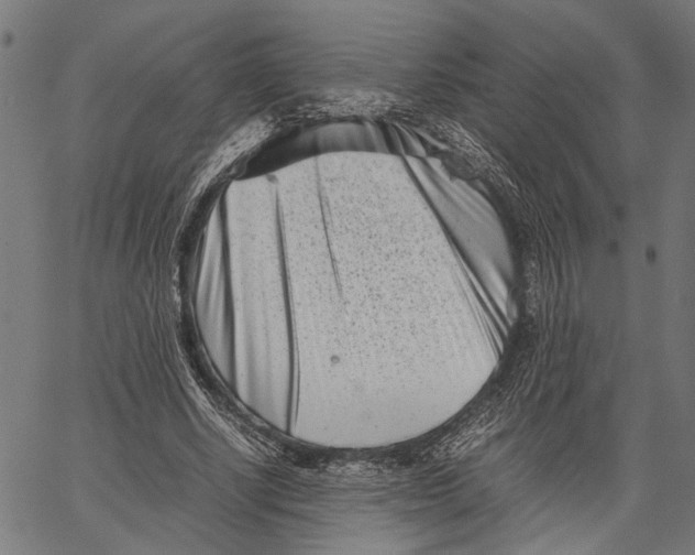 X0000062130634200601060858