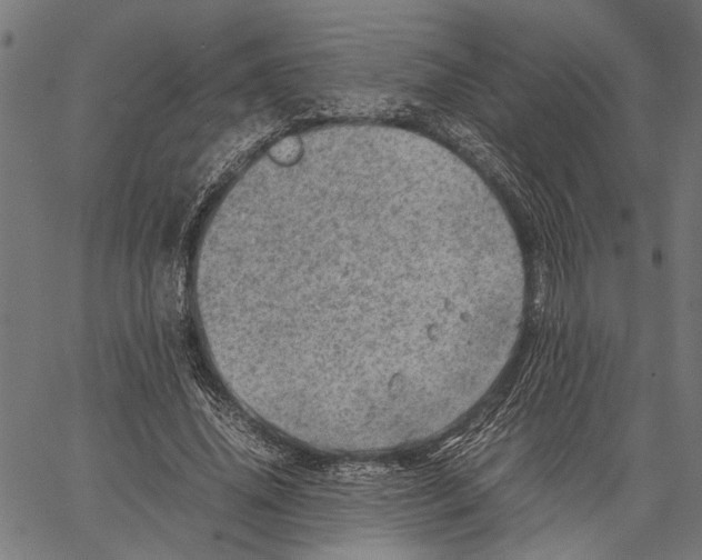 X0000062130636200601060858