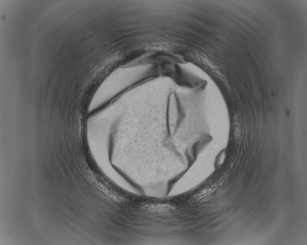 X0000062130637200601060858