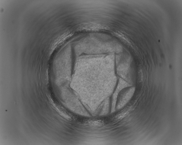 X0000062130638200601060858