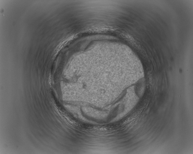 X0000062130640200601060858