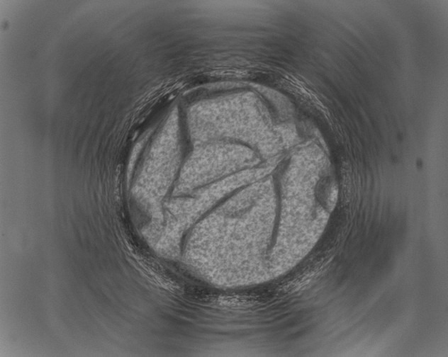 X0000062130641200601060858