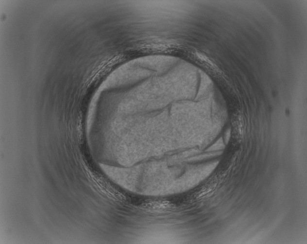 X0000062130642200601060858