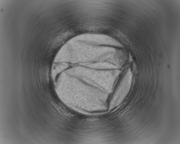 X0000062130644200601060858