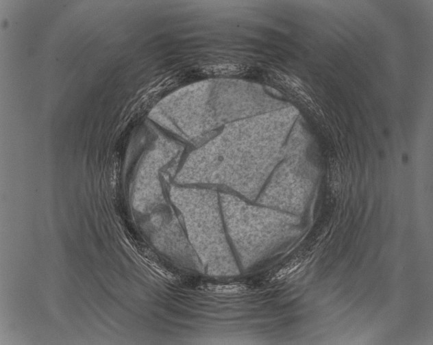 X0000062130645200601060858