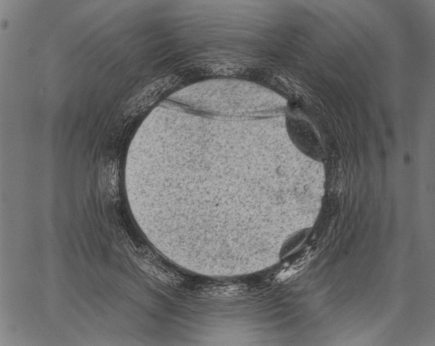 X0000062130646200601060858