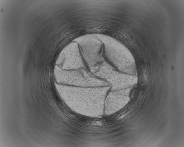 X0000062130647200601060858