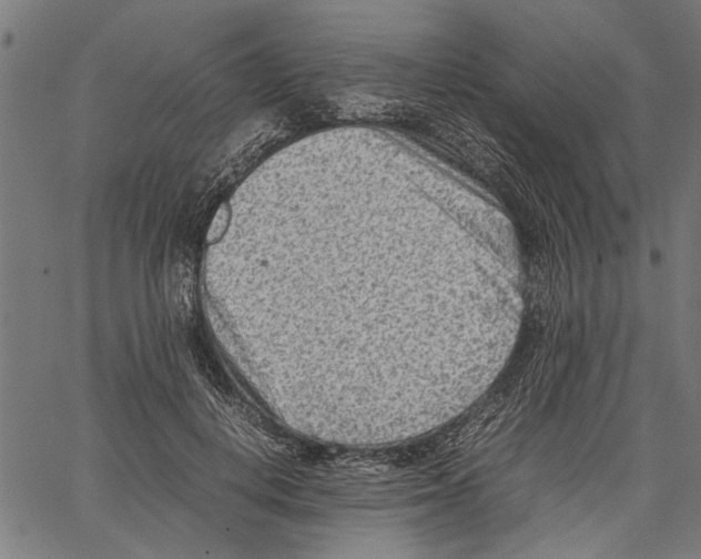 X0000062130648200601060858