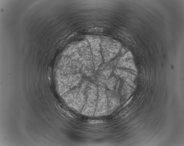 X0000062130649200601060858