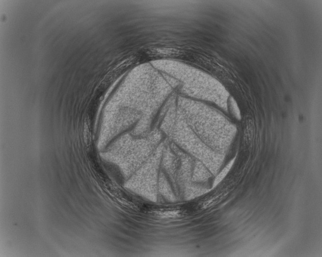 X0000062130651200601060858